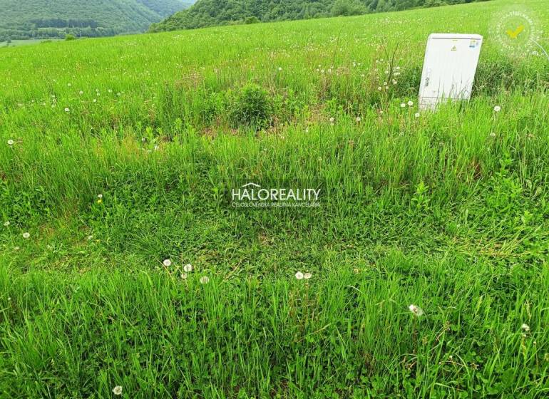 A grassy plot for living near Margecany, surrounded by nature and greenery.