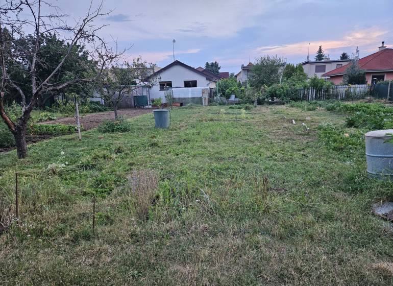 A plot with a garden, grass cover, fruit trees, and houses in the background.