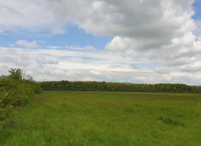 Vast agricultural and forest lands near Pezinok with an open sky and trees on the horizon.