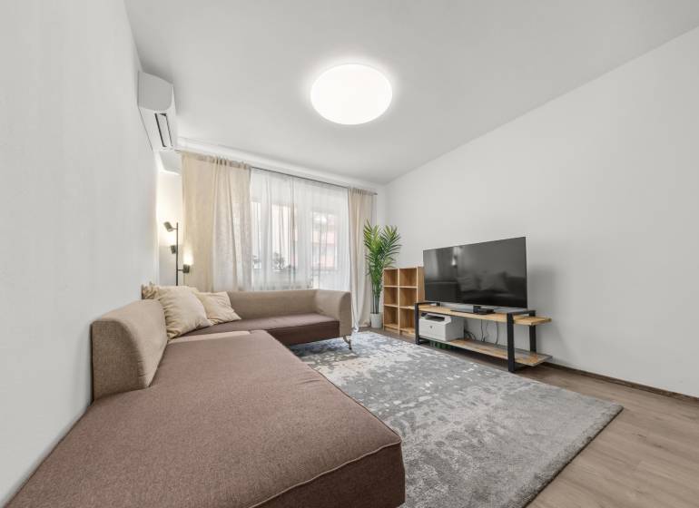 Living room in a two-room apartment with a sofa, television, and shelf.
