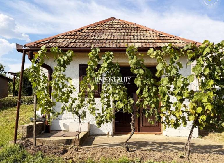 In Bátorove Kosihy, there is a cottage with grapevines, a brick roof, and a green garden.