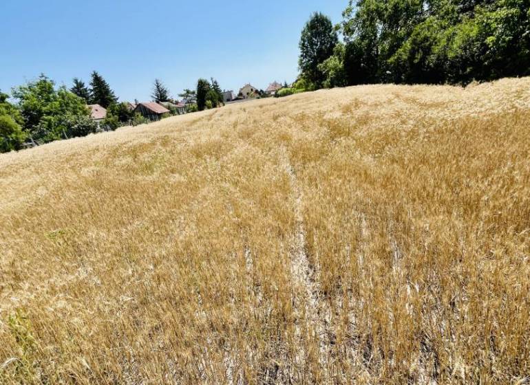 A sunlit field and nature in Dolný Štál ideal for plots - living.
