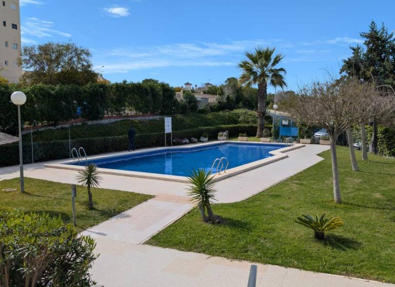 A pool surrounded by greenery and palm trees on Aquiles Street in Torrevieja.