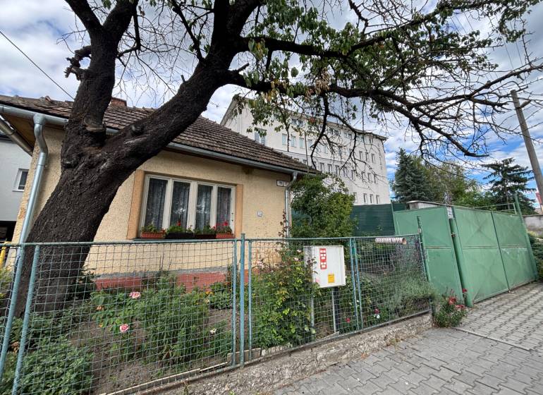A family house in Ilava with a front garden and a large tree by the walkway.