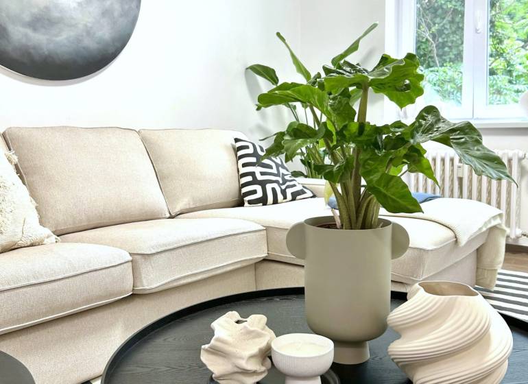 Bright living room corner with a sofa, a plant on a black table, geometric accessories.