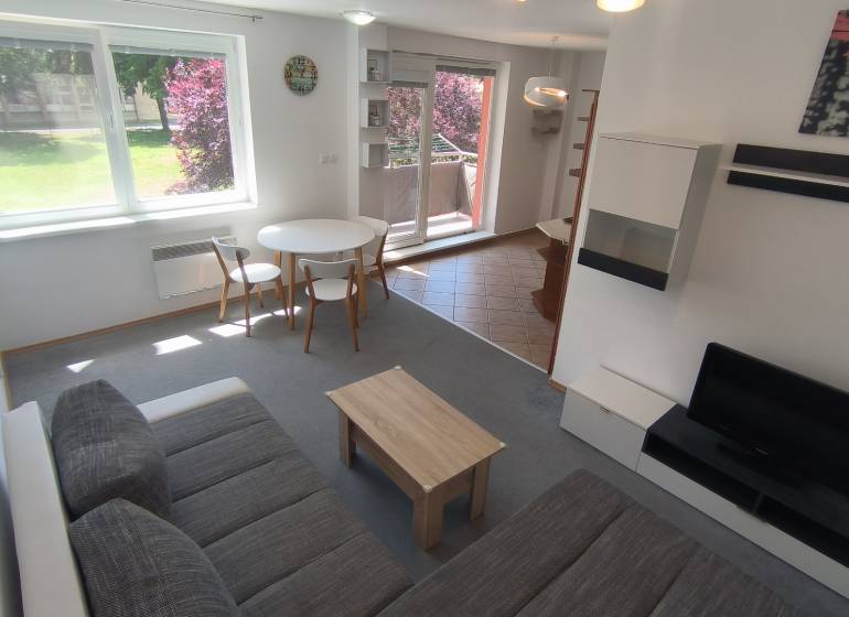 Living room in a two-room apartment with a sofa, television, and dining table.