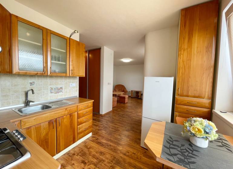 Wooden kitchen with dining table and view into the living room, 2-room apartment.