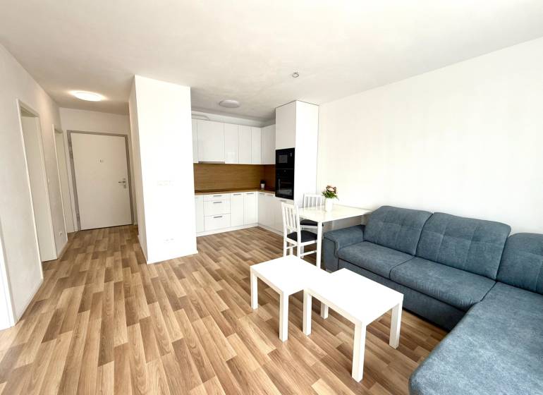 Living room in a two-room apartment with wooden flooring and a kitchenette.