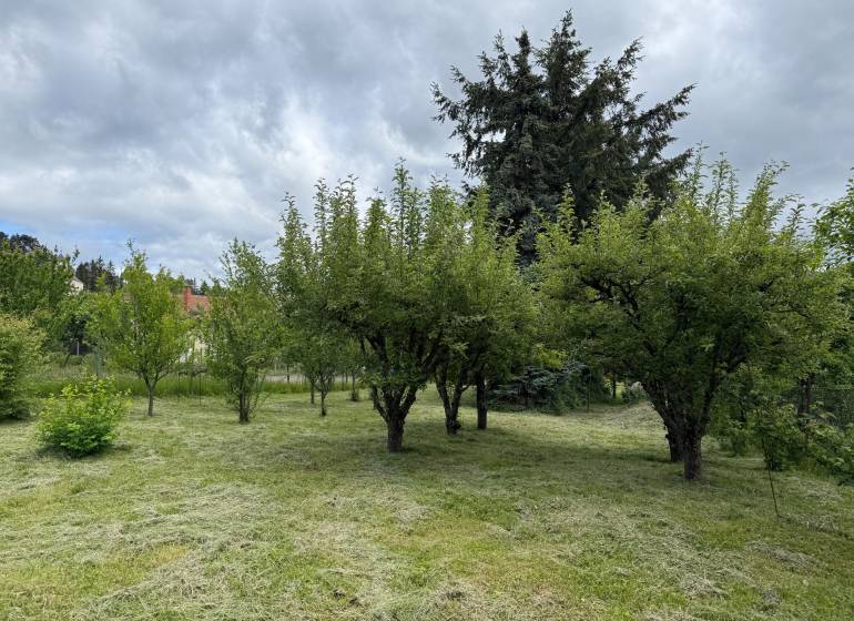 Garden with fruit trees in Skýcov, ideal for plots - living.