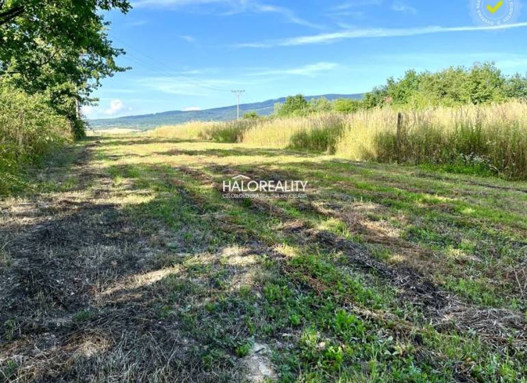 A grassy path between fields and trees in Kolibabovce, ideal for residential plots.
