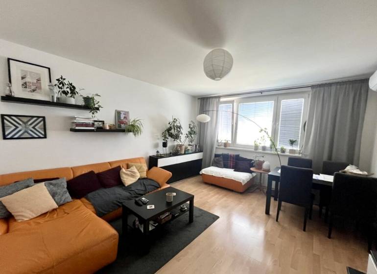 3-room apartment with a comfortable sofa, dining table, and houseplants.