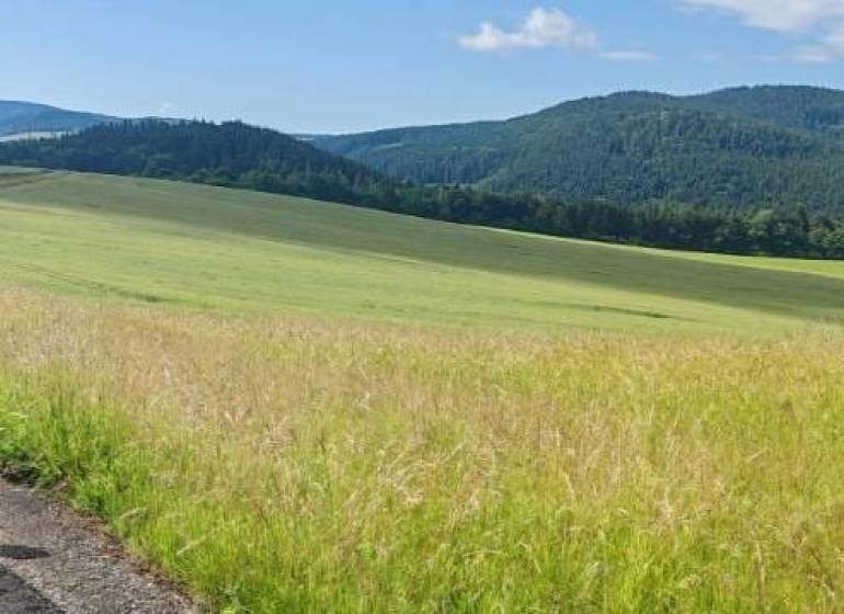 Beautiful meadows and fields suitable for plots - living in Králiky, green landscape on the horizon.