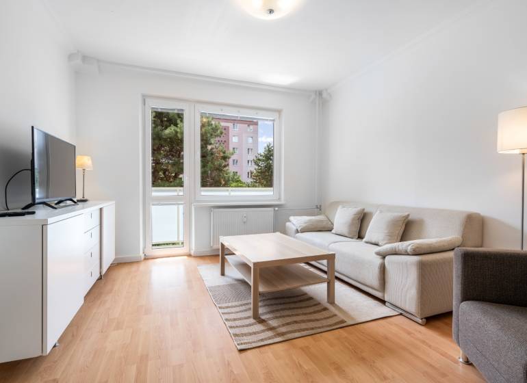 Living room in a two-room apartment with a wooden decor floor and a comfortable sofa.