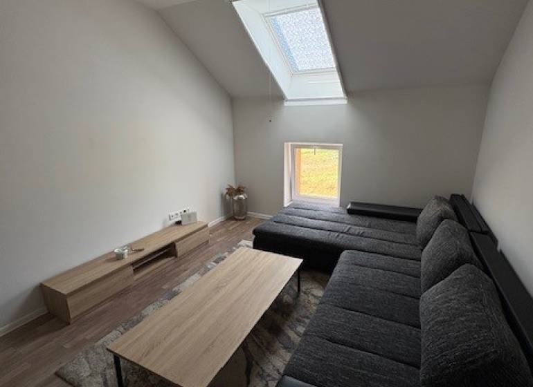 A living room in a two-room apartment with a sofa under a skylight and a coffee table.