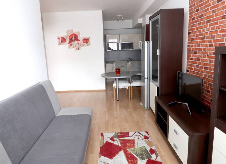 Living room of a two-room apartment with a sofa, television, and dining table.