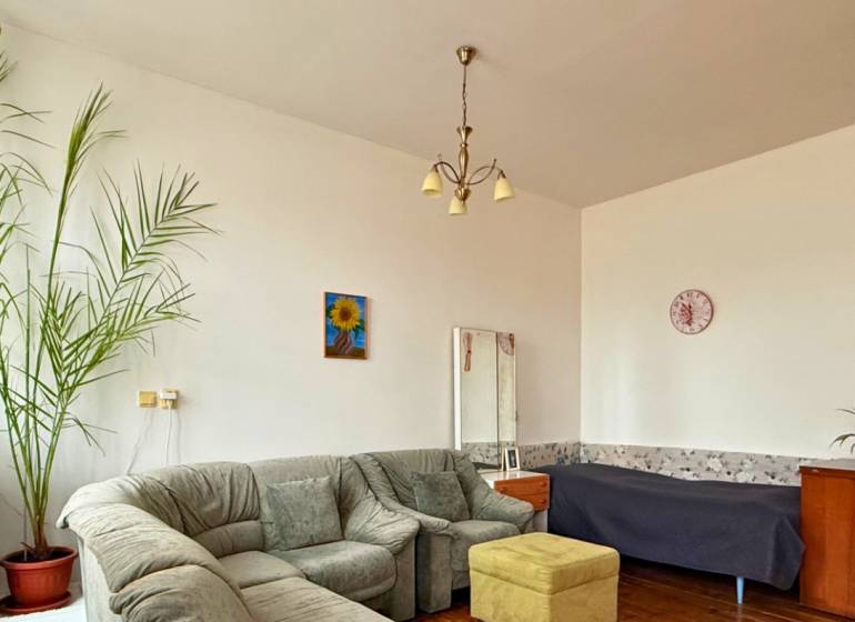 Living room in a family house with a sofa, plants, and a coffee table.