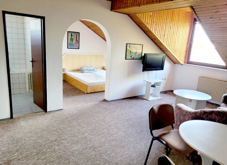 Attic 2-room apartment with a television, table, chairs, and entrance to the bedroom.