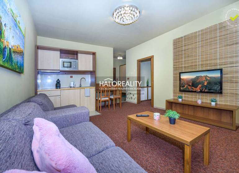 Living room of a two-room apartment with a kitchenette, sofa, and TV on the wall.