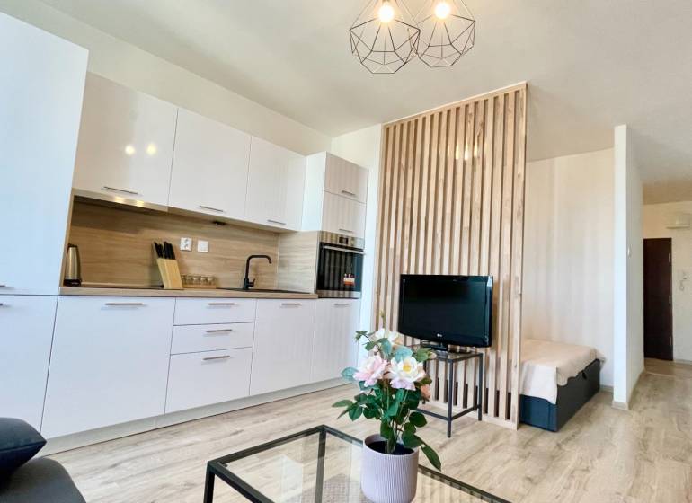 1-bedroom apartment with a kitchenette, TV, wooden partition, and flowers on the table.