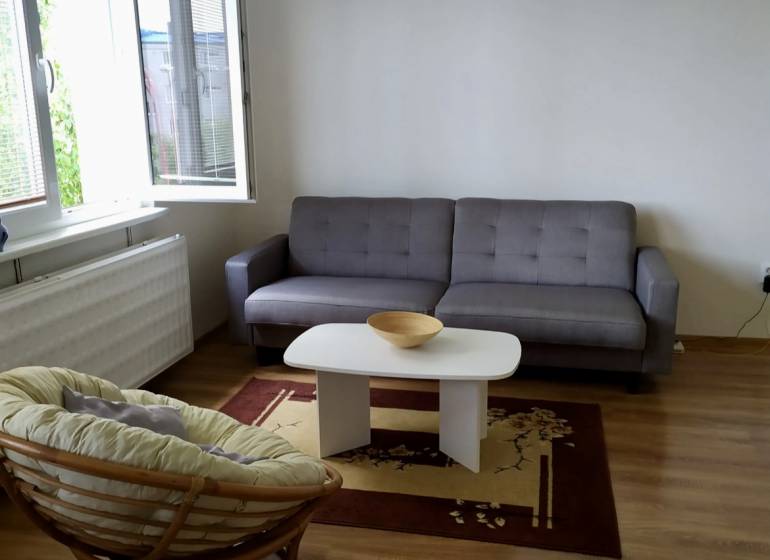 A bright living space in a studio apartment with a beige armchair and a gray sofa.
