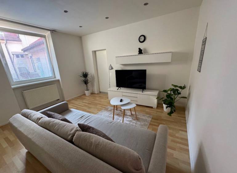 Living room in a two-room apartment with a sofa, television, and plants on parquet floors.