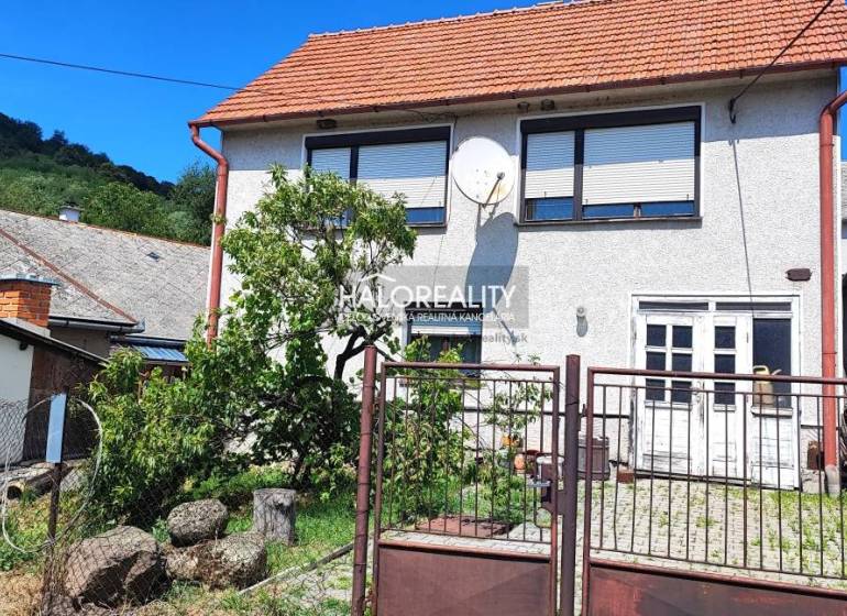 Cottage kitchen: stove, classic furniture, colorful walls, window with lace curtain.