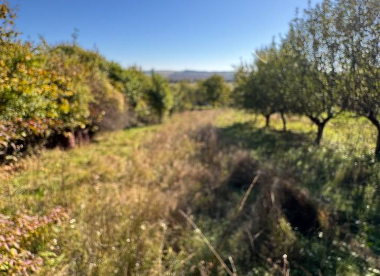 Veľké Turovce: A cottage in a natural setting, surrounded by trees and grass, under a blue sky.