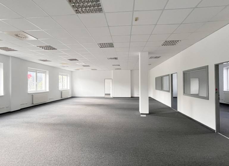 Spacious offices with gray carpet and rows of windows.