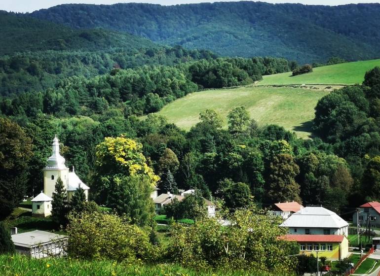 Unique properties in the village of Výrava surrounded by green hills and dense forest.