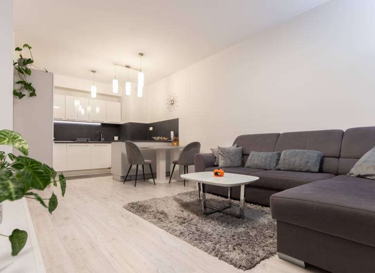 Living room with a kitchen, sofa, table, and wooden decor flooring in a two-room apartment.