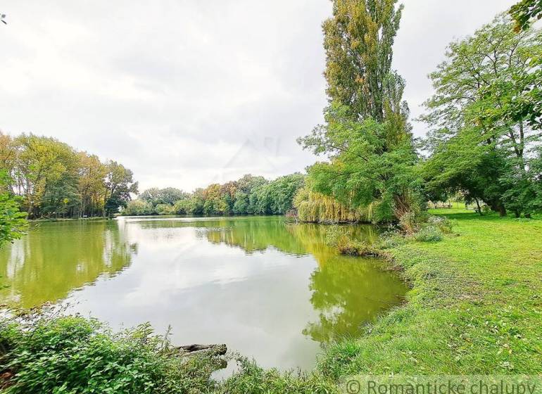 A lake with a tree-lined shore in Ľudovítova near a family house.