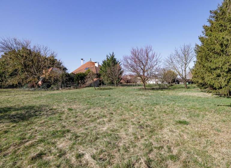 A grassy plot for living in Kútniky surrounded by trees and a house on the horizon.