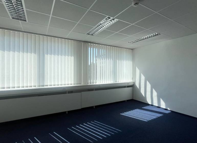 Offices with carpeted floors and shading blinds, illuminated by natural light.