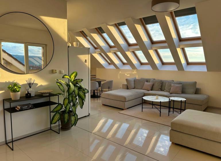 Living room in a 3-room apartment with large skylights and houseplants.