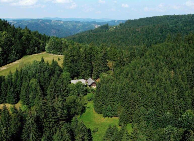Wooded areas and meadows around Vysoká nad Kysucou, surrounded by agricultural and forest lands.
