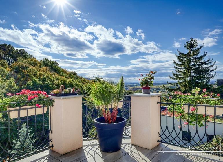 Sunny terrace of the cottage with flowers and a view of the forests in Bratislava-Devínska Nová Ves.