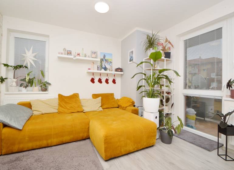 Living room in a three-room apartment with a mustard sofa, plants, and a wooden decor floor.