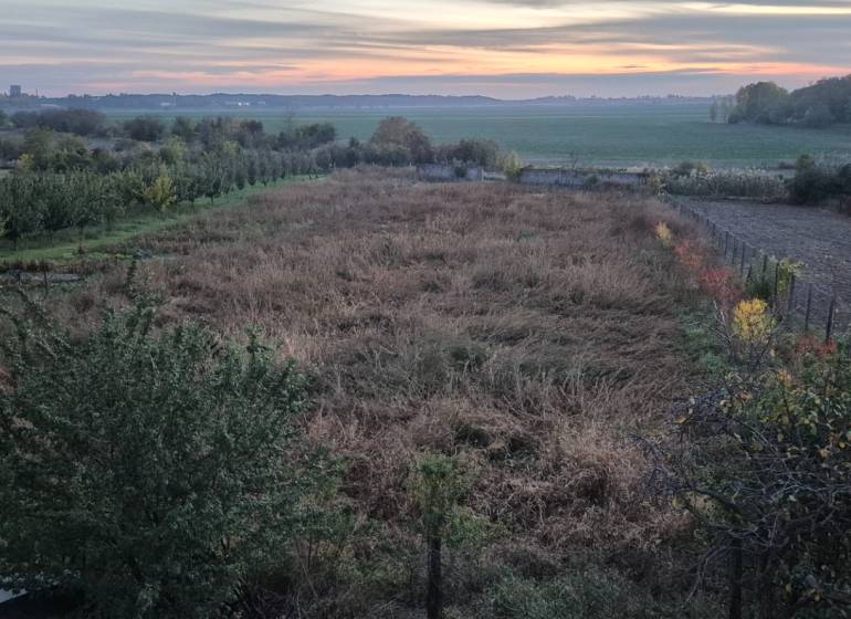 Building plots suitable for housing in Dvory nad Žitavou, surrounded by fields and greenery.