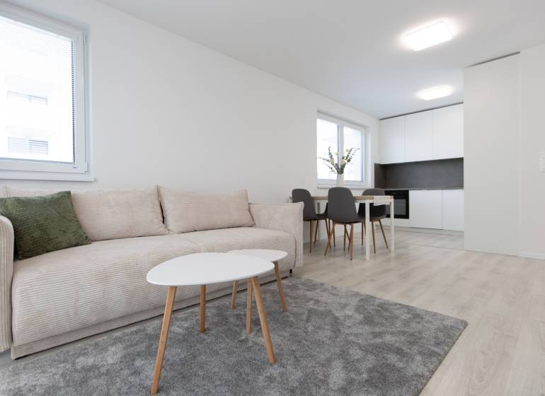 Living room with a sofa, dining table, and kitchen in a 2-room apartment with flooring.