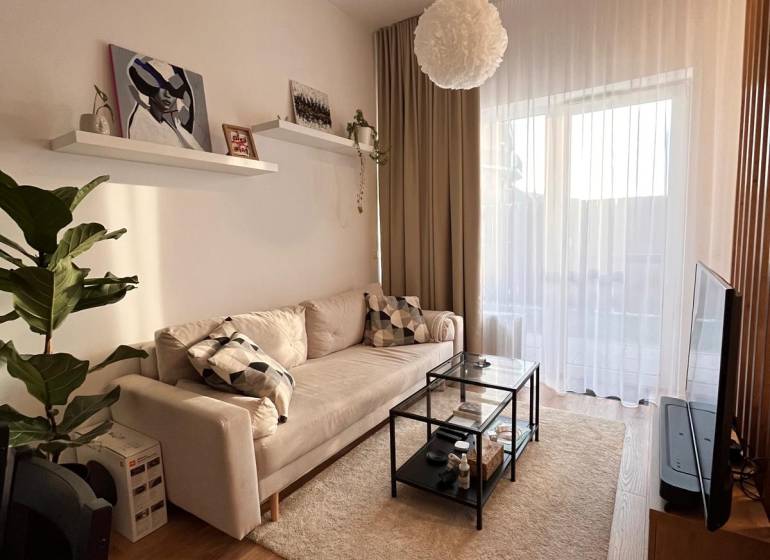 Living room of a one-room apartment with a sofa, table, plant, and wood-patterned floor.