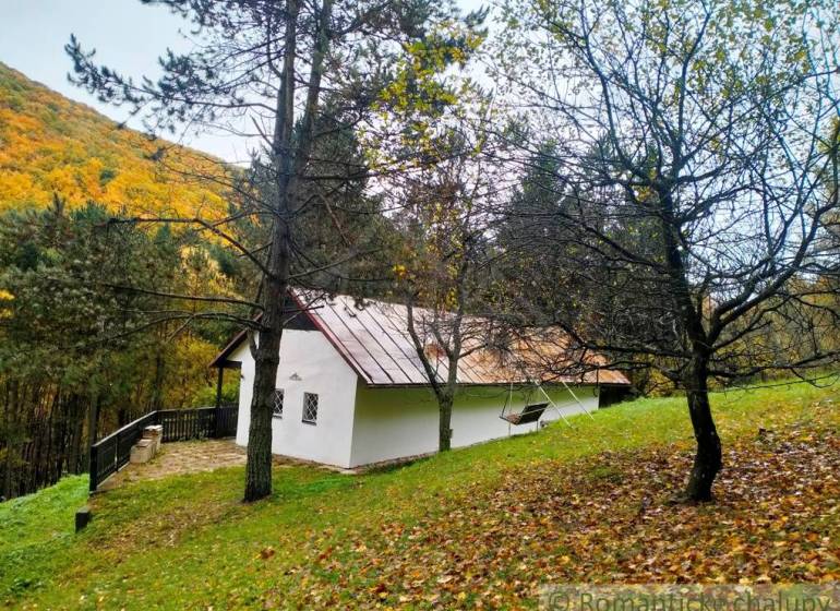 A cottage in Chocholná-Velčice surrounded by autumn forest and fresh nature.