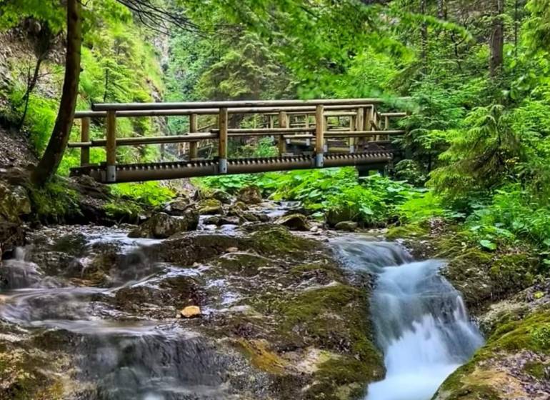 Wooden bridge over a stream in the forest near Trnava pri Laborci suitable for plots - housing.