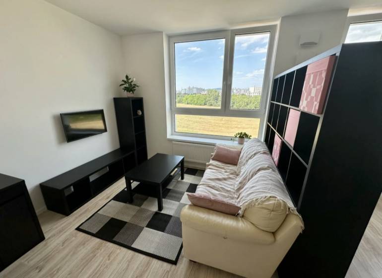 Living room in a two-room apartment with a sofa, television, and wooden decor flooring.