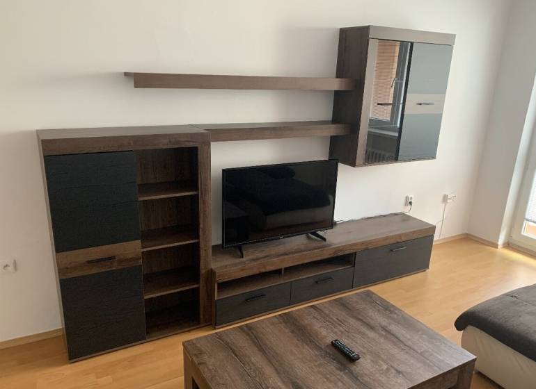 Living room wall unit with a television in a 2-room apartment, floor with wood decor.