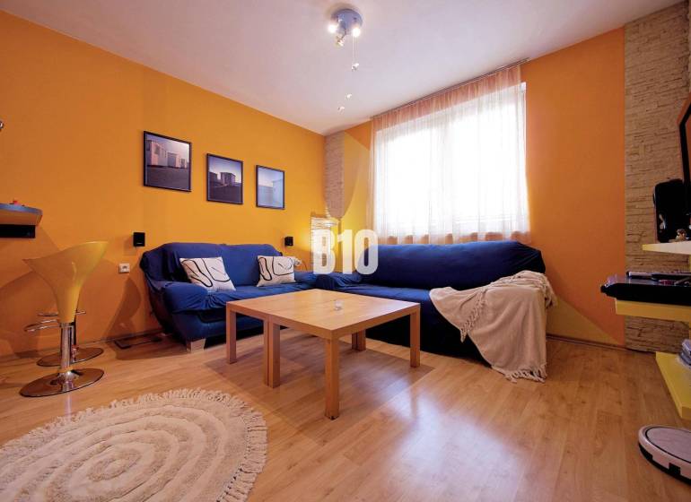 Living room in a 2-room apartment with an orange wall, blue sofa, and wooden decor flooring.