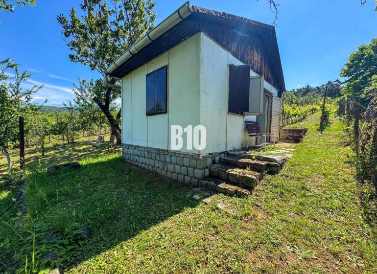 A wooden cottage in the middle of vineyards in Nitra, surrounded by greenery and trees.