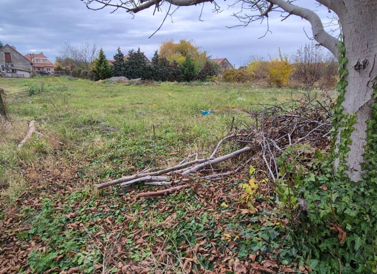 A plot in Tvrdošovce suitable for living, surrounded by trees and greenery.