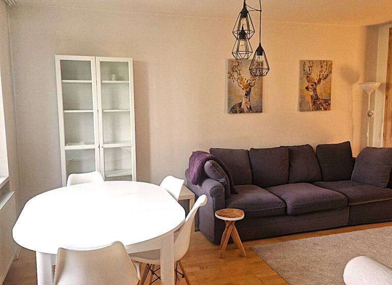 Living room with a sofa and a dining table in a 2-room apartment with wood-patterned flooring.