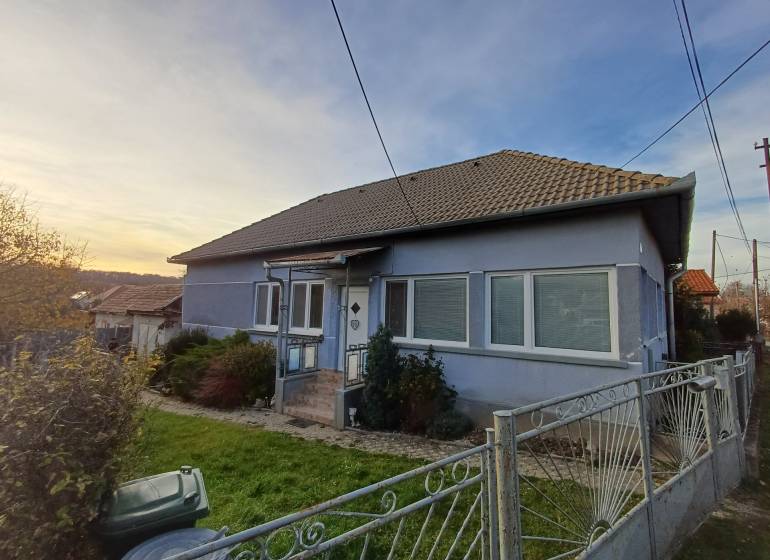 A family house in Dlhá Ves, blue facade, sloped roof, front garden, metal fence.