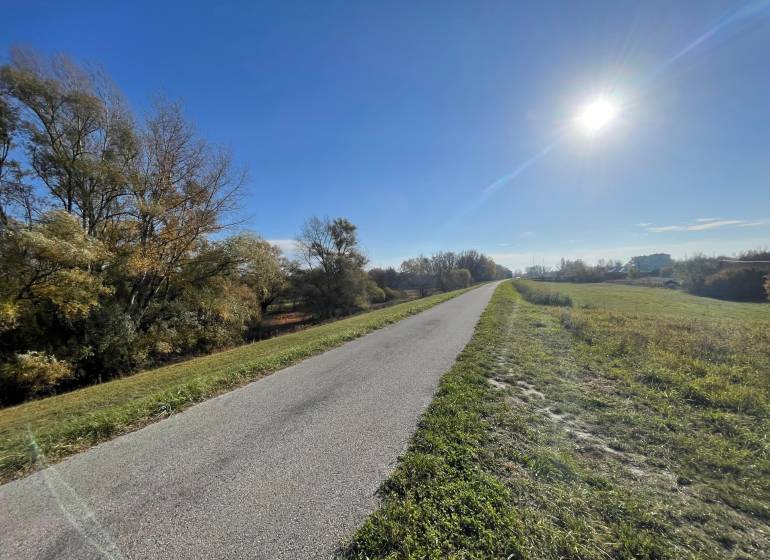 An asphalt road surrounded by trees and meadows at the Cottage in Nova Osada in Komárno.